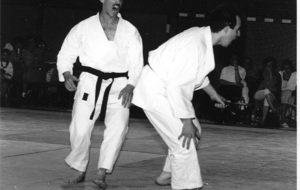 Gala des arts martiaux 1992 à Bresles
